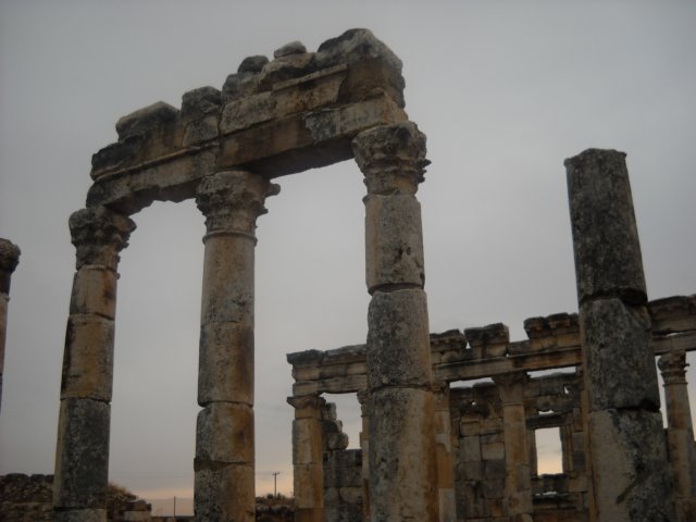 dscn0540.jpg