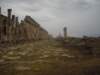 dscn0544_small.jpg