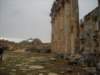 dscn0547_small.jpg