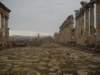 dscn0551_small.jpg