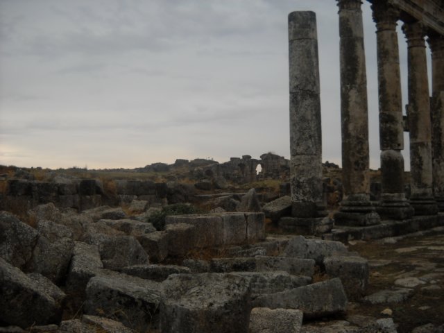 dscn0553.jpg