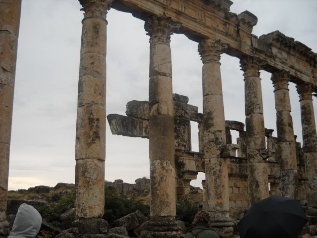 dscn0555.jpg