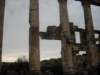 dscn0557_small.jpg