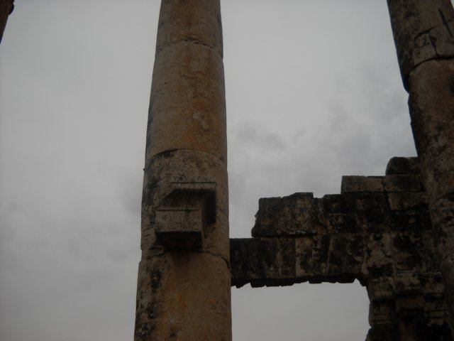 dscn0558.jpg