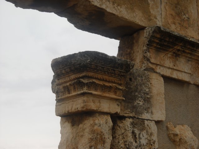 dscn0559.jpg