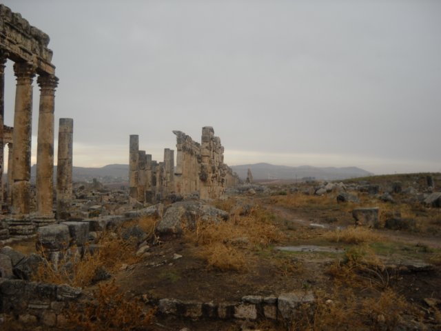 dscn0562.jpg