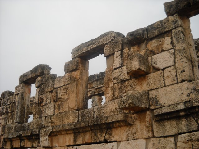 dscn0564.jpg
