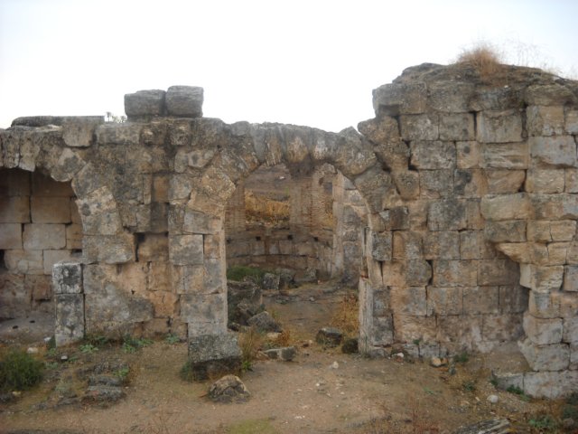 dscn0567.jpg