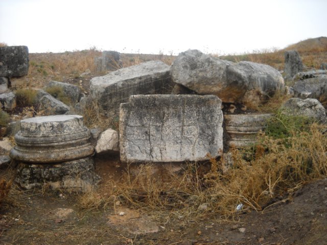 dscn0580.jpg