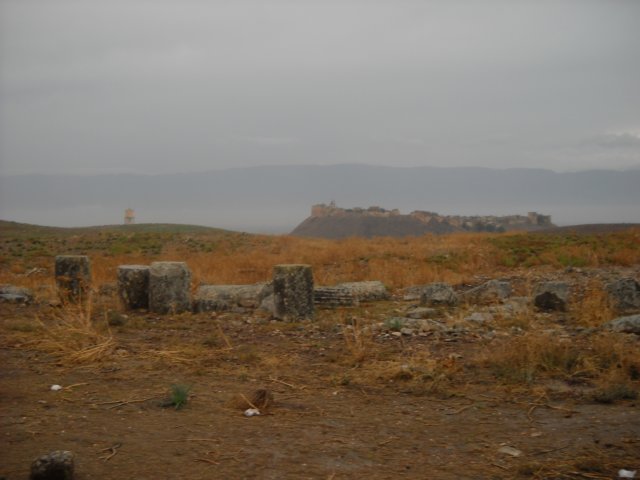 dscn0582.jpg