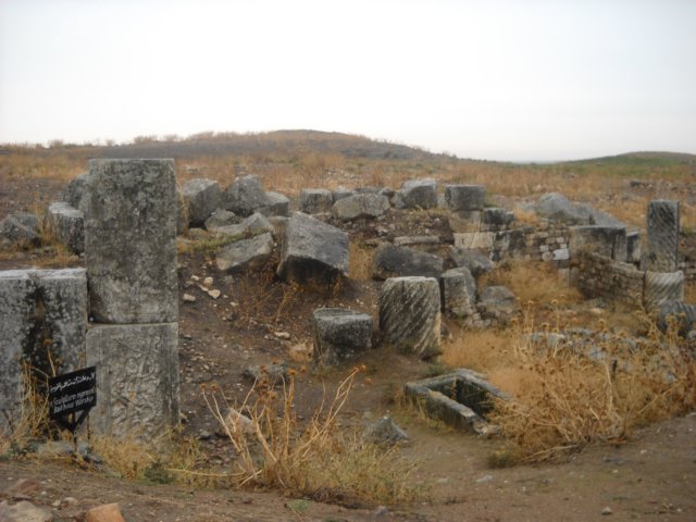 dscn0584.jpg