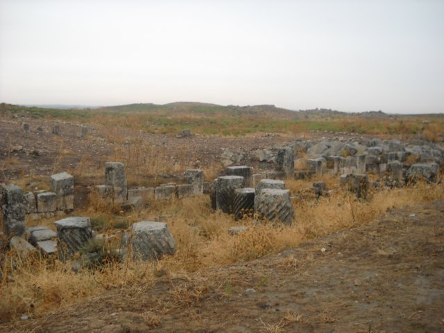 dscn0586.jpg