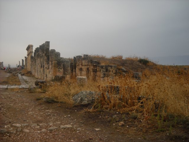 dscn0590.jpg