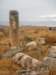 dscn0591_small.jpg