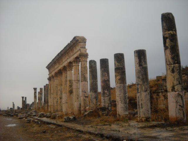 dscn0595.jpg