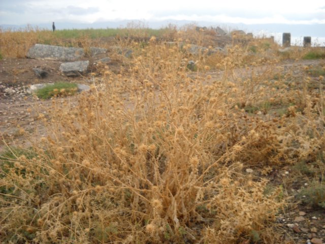 dscn0598.jpg