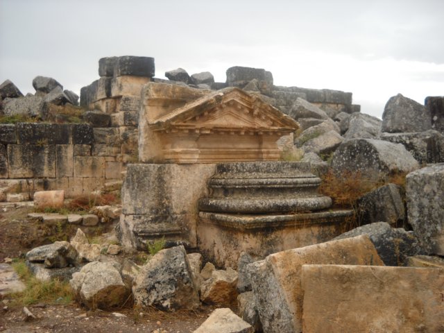 dscn0604.jpg