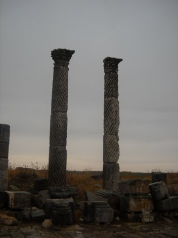 dscn0607.jpg