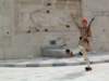 athens24_small.jpg