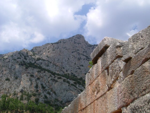 photo45.jpg