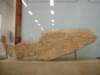 photo4_small.jpg