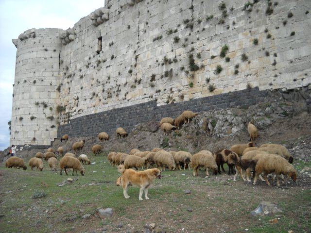 dscn0343.jpg