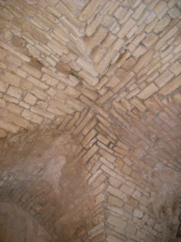 dscn0364.jpg