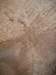 dscn0364_small.jpg