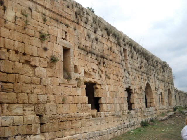 dscn0389.jpg