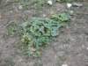 dscn0398_small.jpg