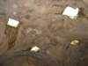 dscn0423_small.jpg