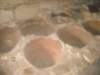 dscn0445_small.jpg