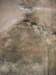 dscn0470_small.jpg