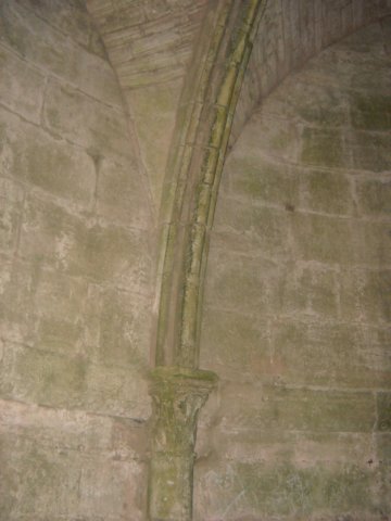 dscn0497.jpg