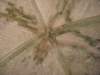 dscn0498_small.jpg