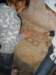 dscn0499_small.jpg