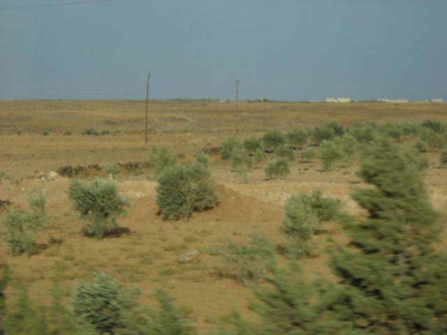 dscn0748.jpg