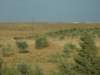 dscn0748_small.jpg