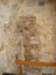 dscn0796_small.jpg