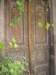 dscn0805_small.jpg