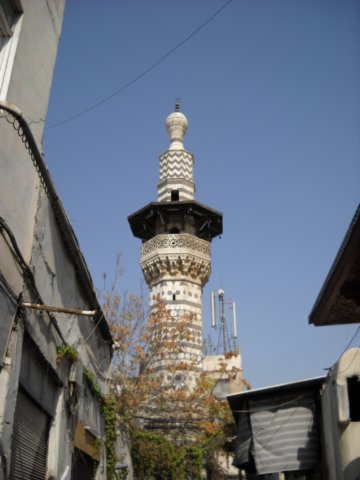 dscn0817.jpg
