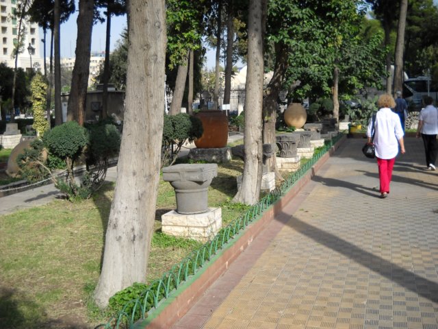 dscn0875.jpg