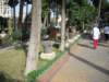 dscn0875_small.jpg