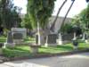 dscn0876_small.jpg