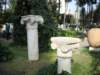 dscn0877_small.jpg
