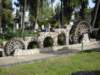 dscn0878_small.jpg