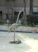 dscn0883_small.jpg