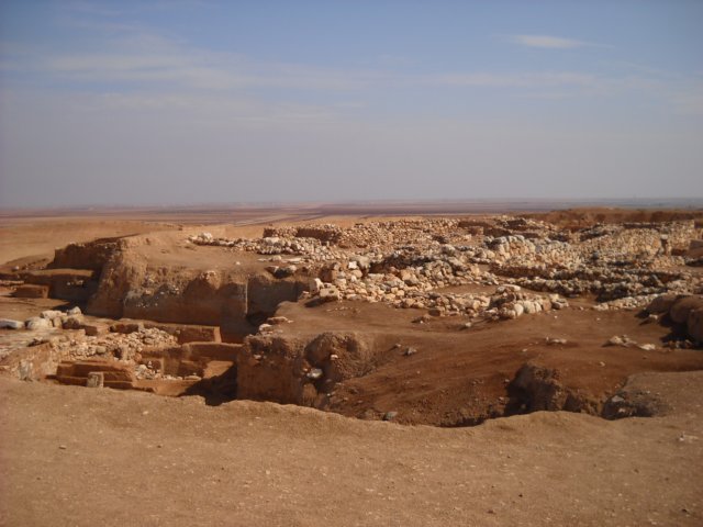 dscn1082.jpg