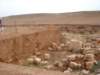 dscn1101_small.jpg