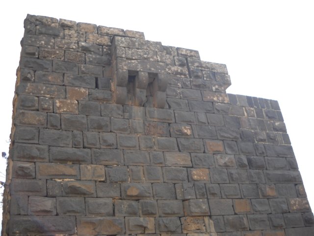 dscn0631.jpg